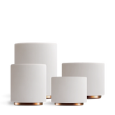 Monty Milk Art Cups