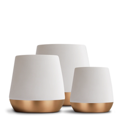 Joey Double Wall Ceramic Mugs